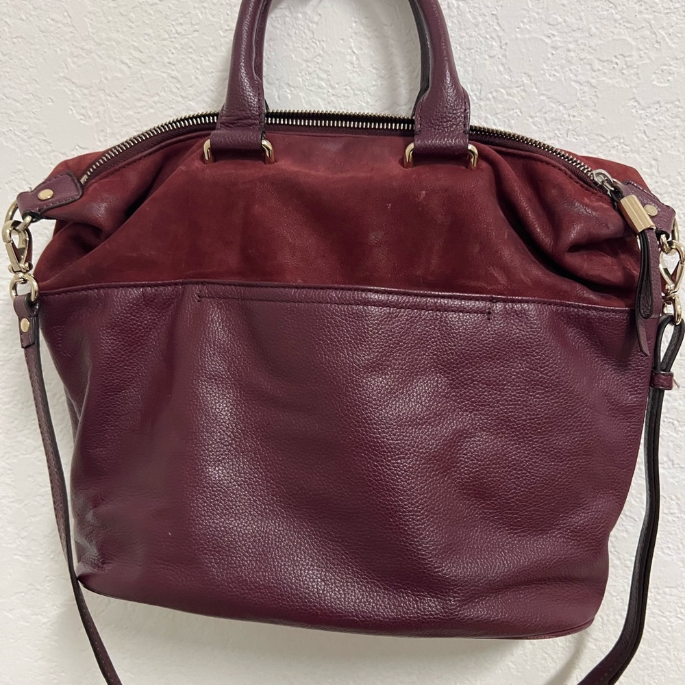 Banana Republic Deep Red Leather Tote